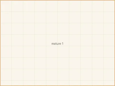 人妻 - 清晨六点的厨房 - 为家人准备元气早餐